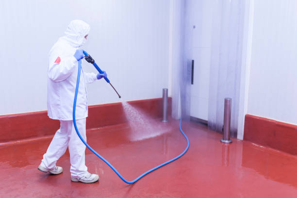 Best Winterizing Services  in Desloge, MO